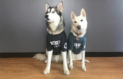 Xero T-Shirts